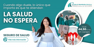 BANNER GUEDES