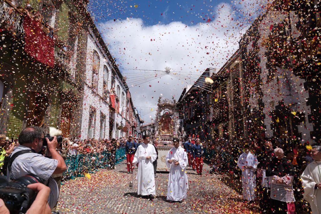 programa-de-el-pino-2025