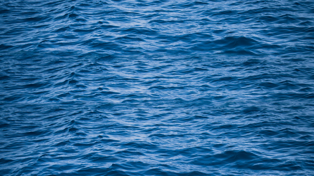 arucas-y-el-mar-2025