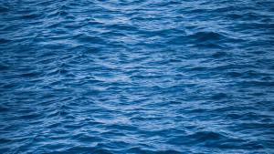 arucas-y-el-mar-2025
