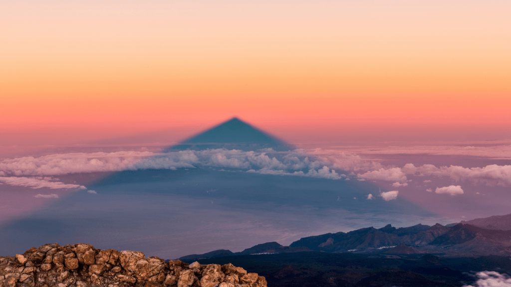 flora-de-canarias