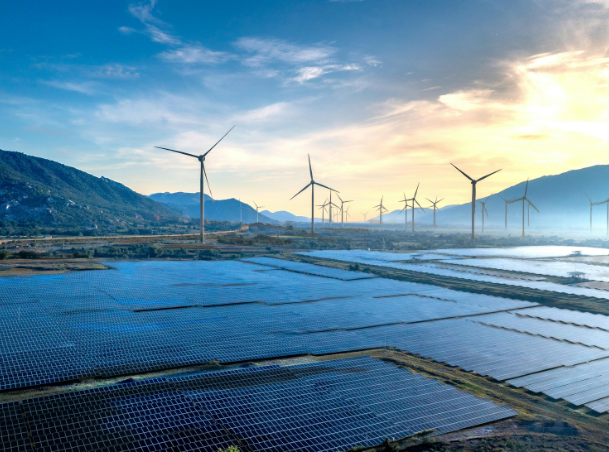 placas solares las palmas cimbra 4