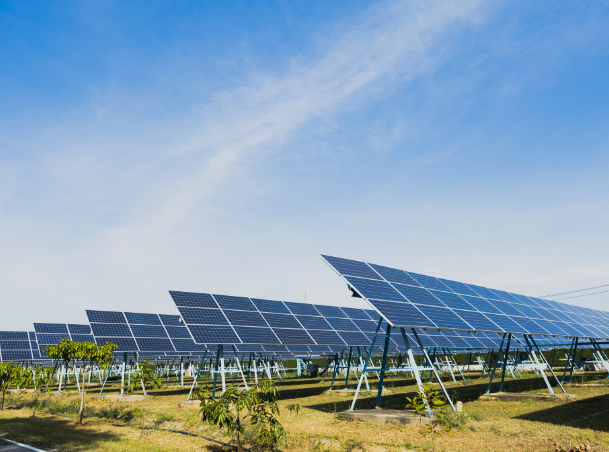 placas solares las palmas cimbra2