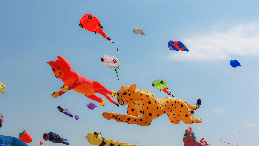 programa-del-carnaval-de-las-palmas-2026