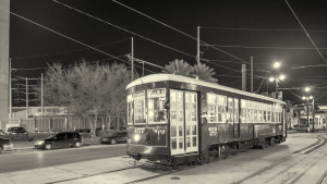 canarios-del-misisipi