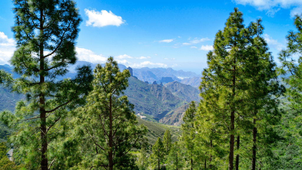 Qué-hacer-en-Gran-Canaria-esta-semana