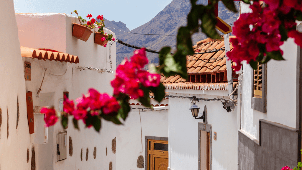 que-hacer-en-gran-canaria-en-verano
